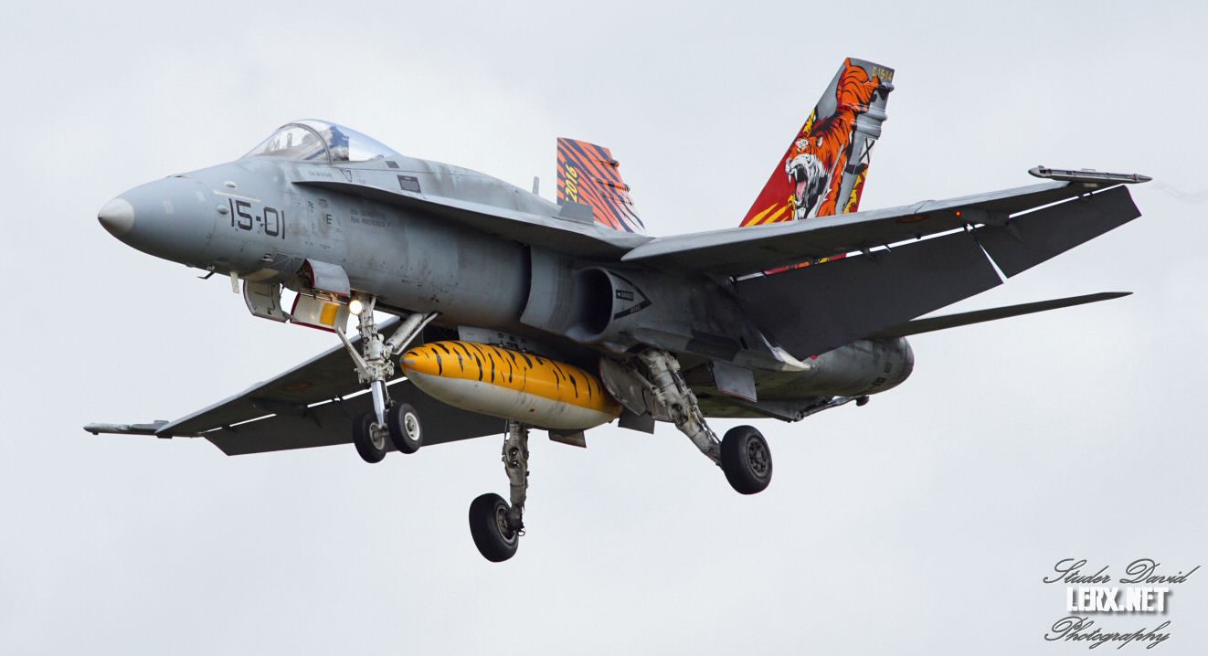 FA-18 Espagnol 0005  LERX NET.jpg